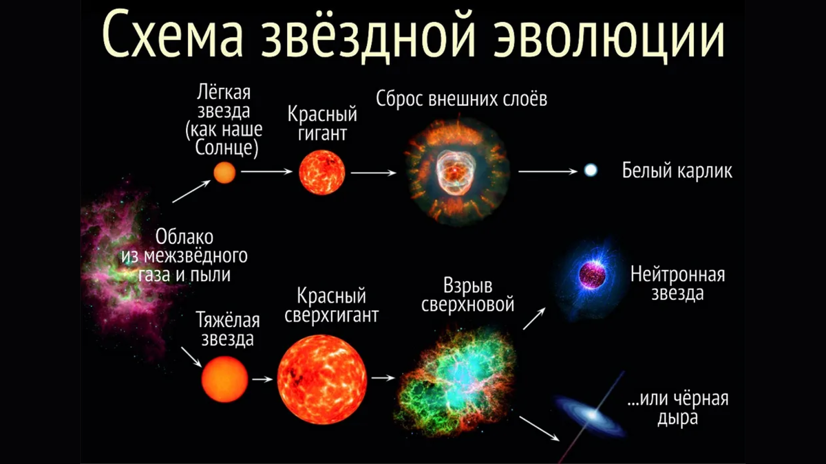 Эволюция звезд астрономия 11