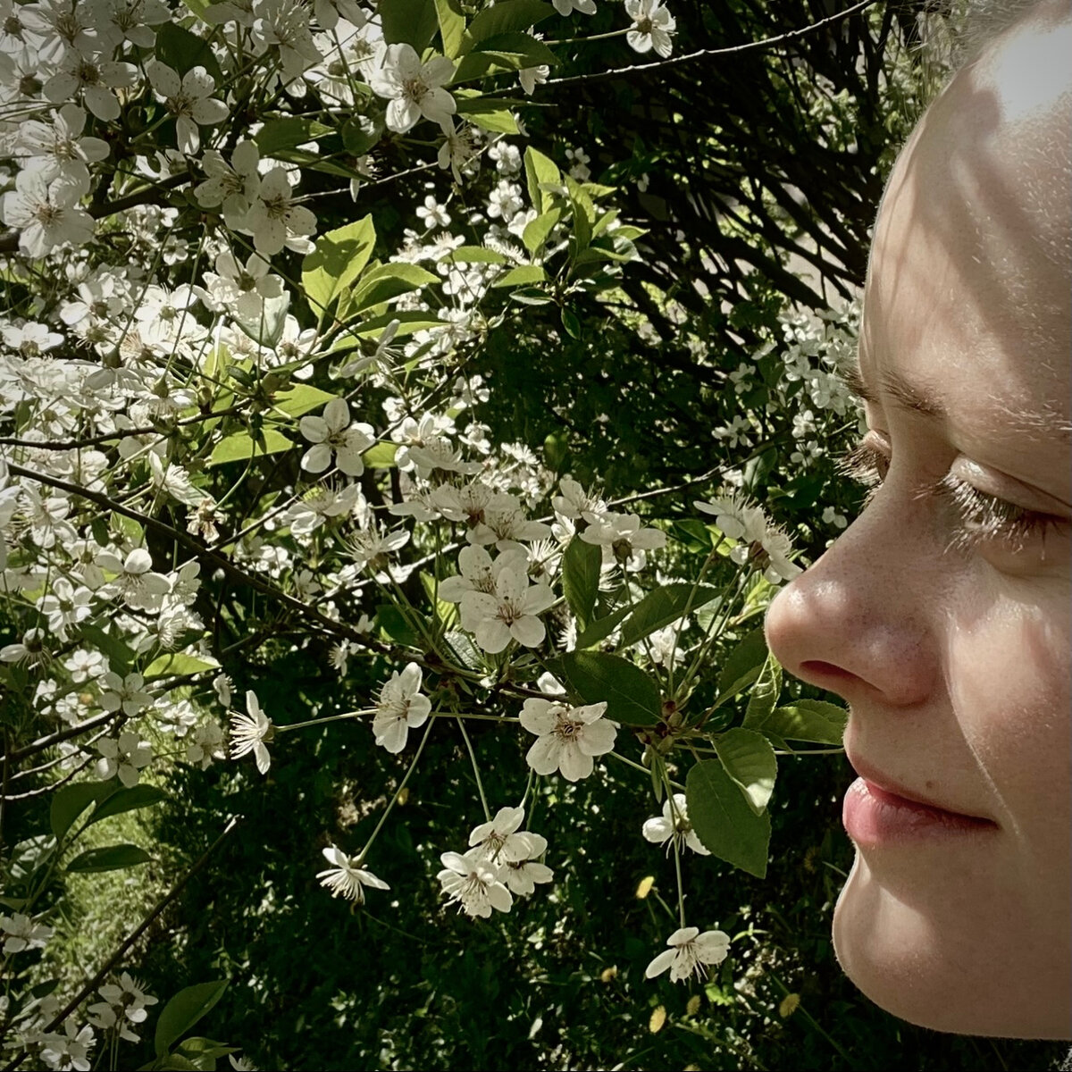 Быть благодарным за новый день, за возможность видеть, слышать, чувствовать - каждый день полон чудес, которые мы частенько воспринимаем как должное