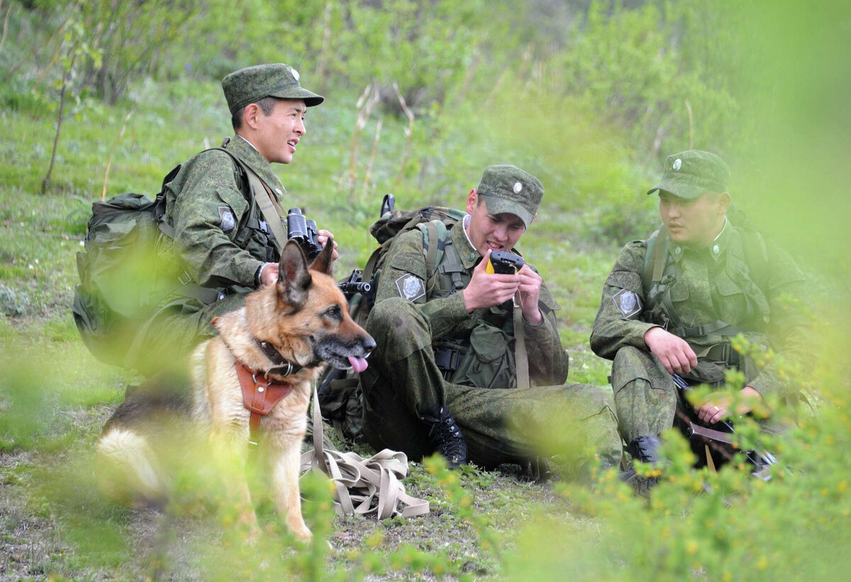 Пограничные войска