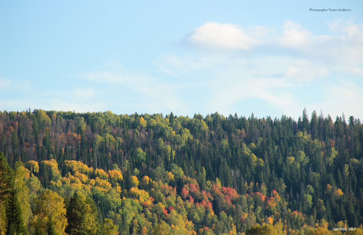 Если кончается лето – не беда. Осень - это начало другой сказки, которая не менее прекрасна...