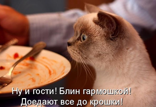 Доедают всё до крошки!