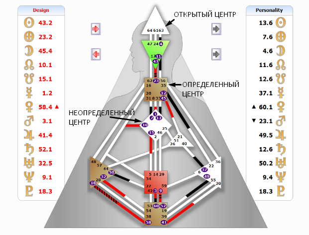 Центры | Дизайн Человека - Your Human Design