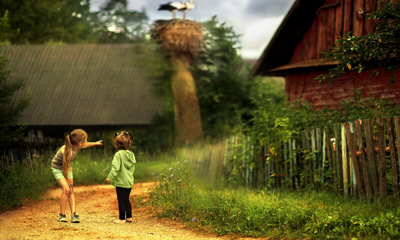 фото из свободного доступа