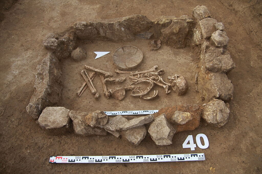 Погребение Майкопской культуры (IV тыс. до н. э.) Фото: wikipedia.org