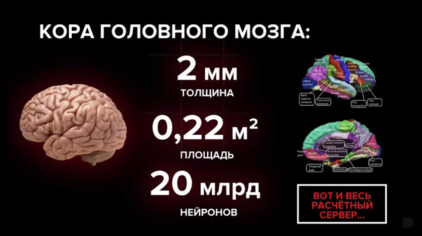 Источник фото - социальные сети