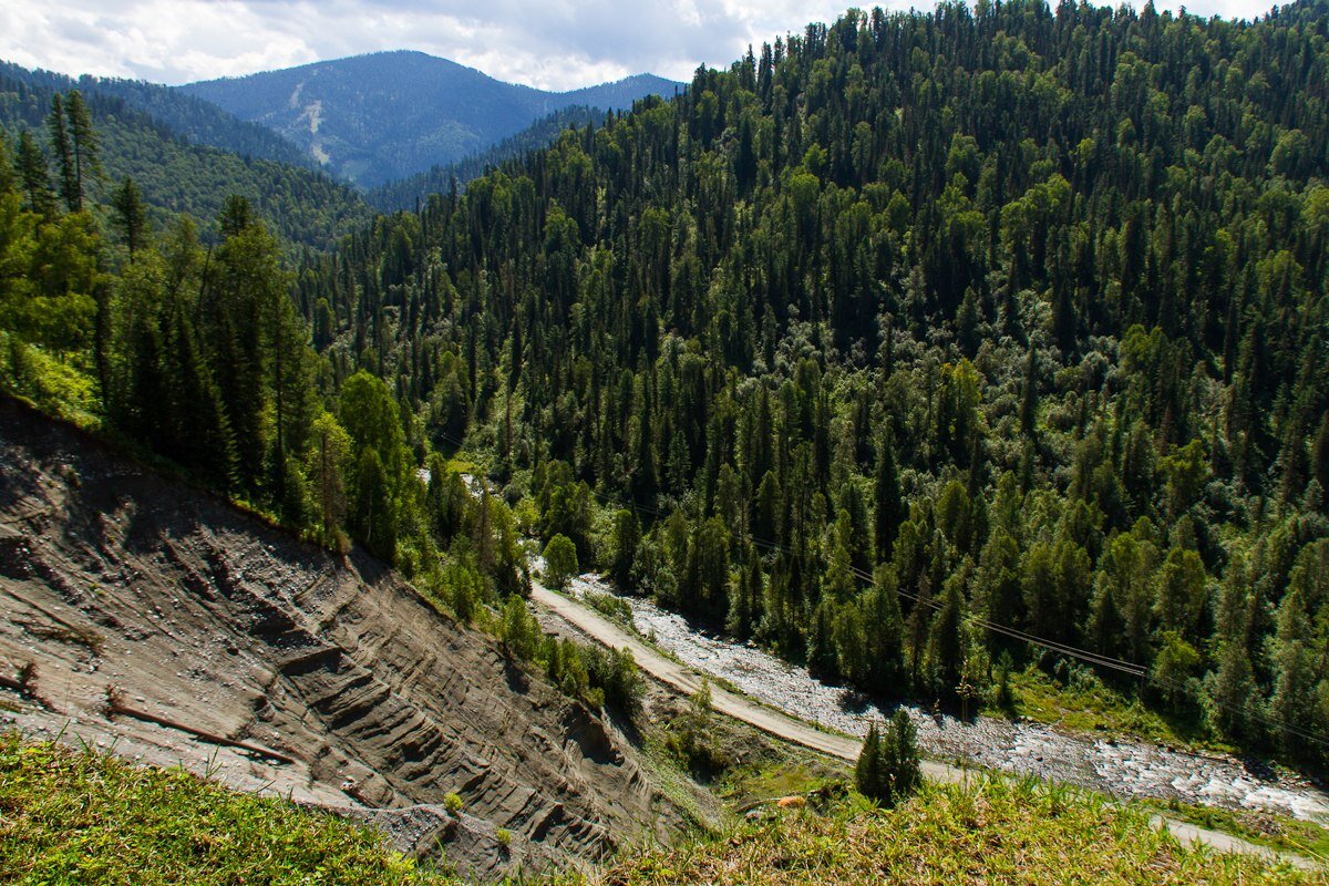 Фото: Алексей Степанов