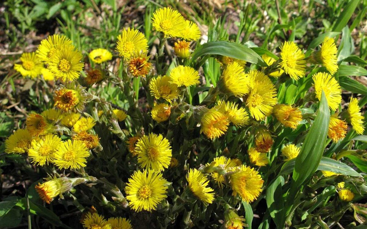 Фото из интернета