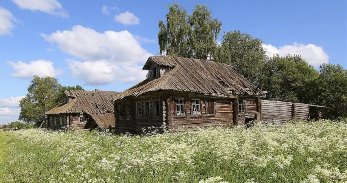 фото использовано в качестве иллюстрации. Источник: Яндекс Картинки