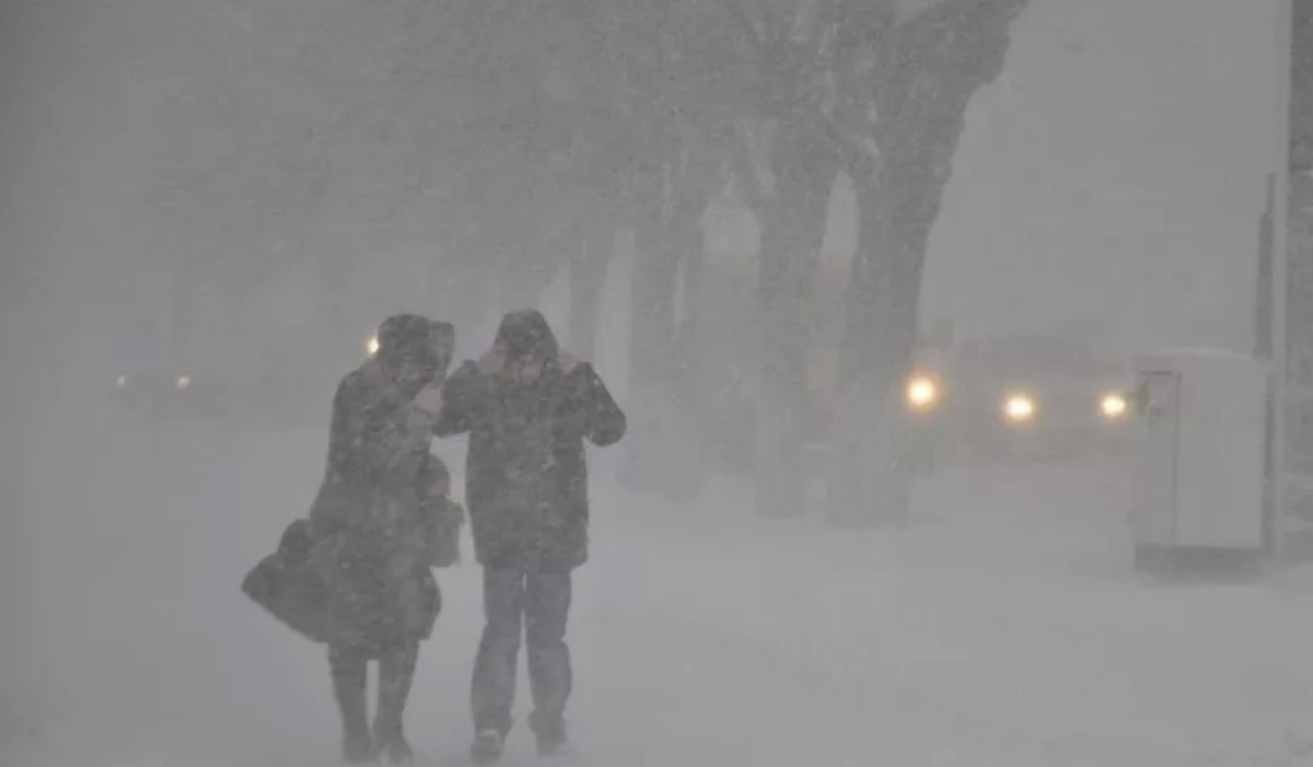 Фотография из открытых источников.