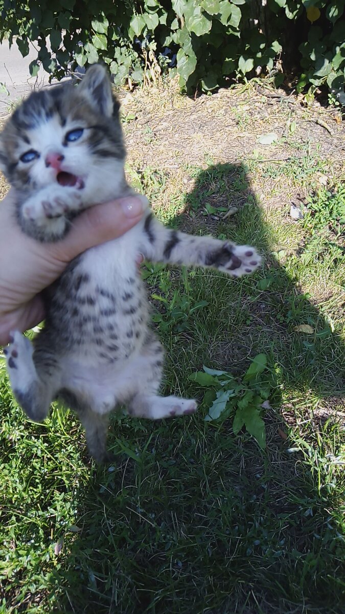 Первая встреча с Васьком