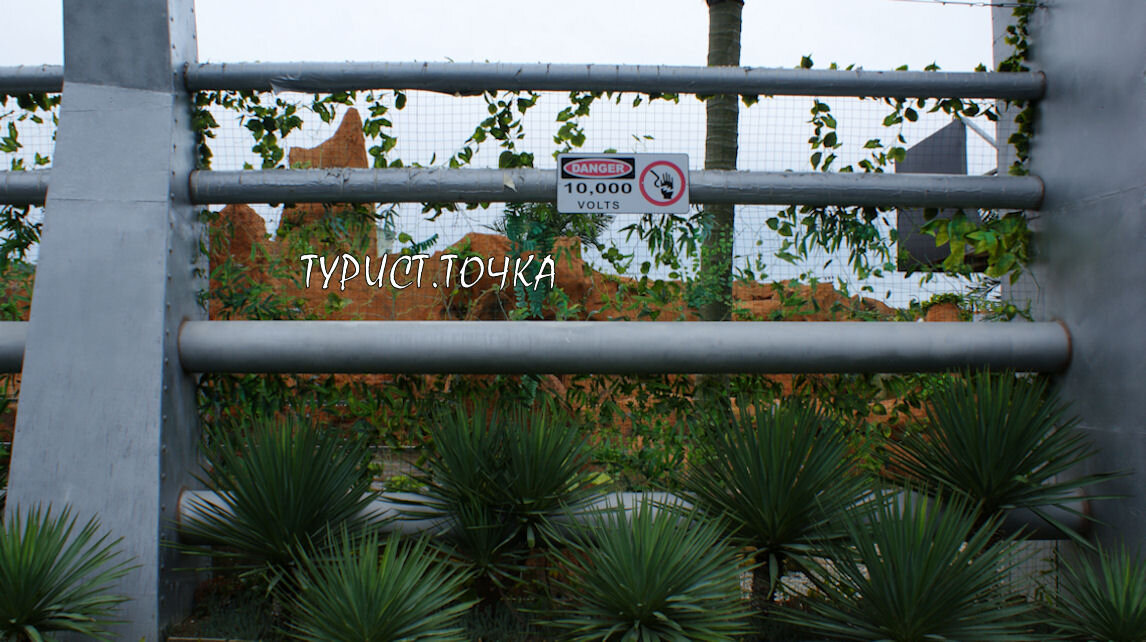 «Опасность! 10 тысяч вольт!»
