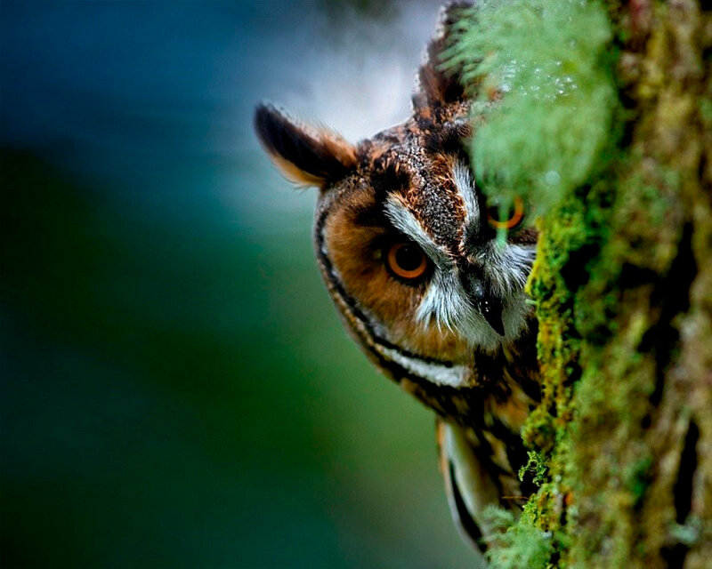 Давайте познакомимся?