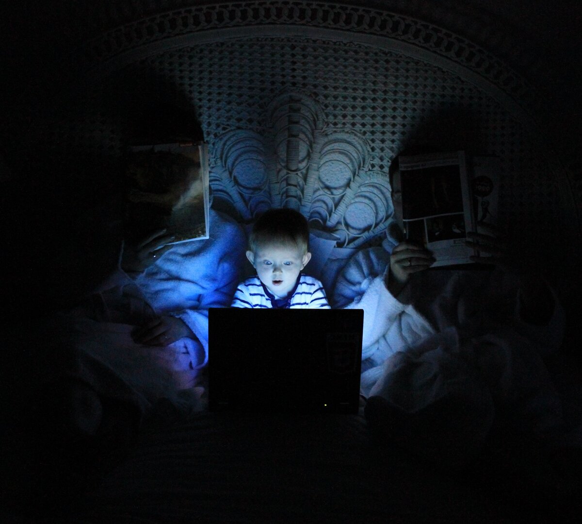 Взято с https://unsplash.com