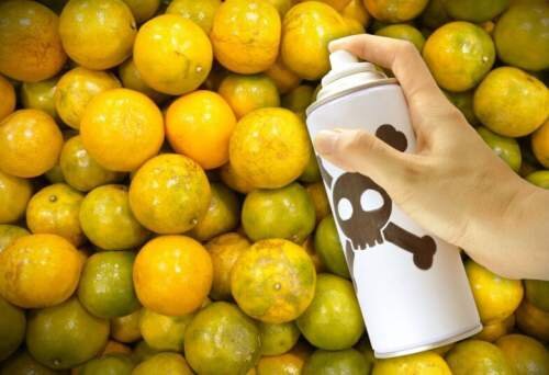 Фото: http://diarioecologia.com