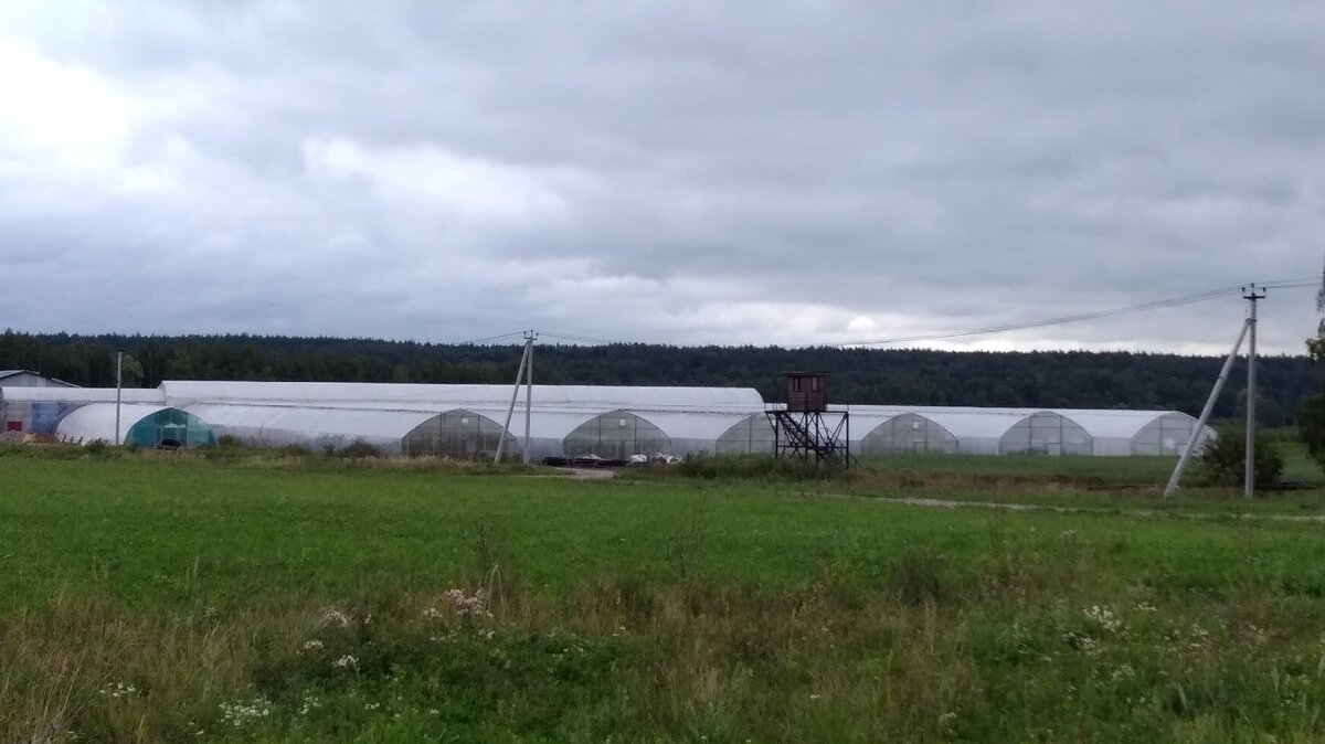 Просто тепличное хозяйство. Без привязки к определённой местности.