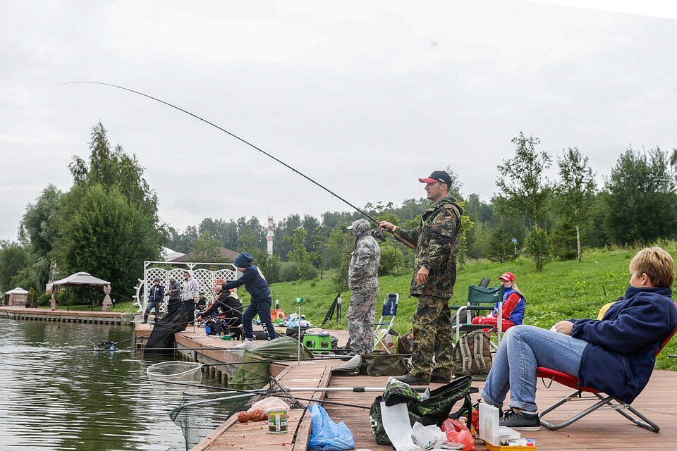 Фото: kp.ru
