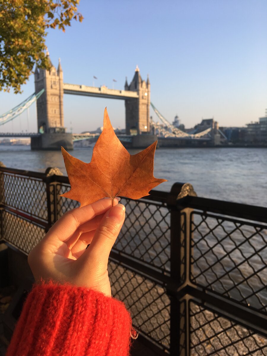 Тауэрский мост. Осень 2018.