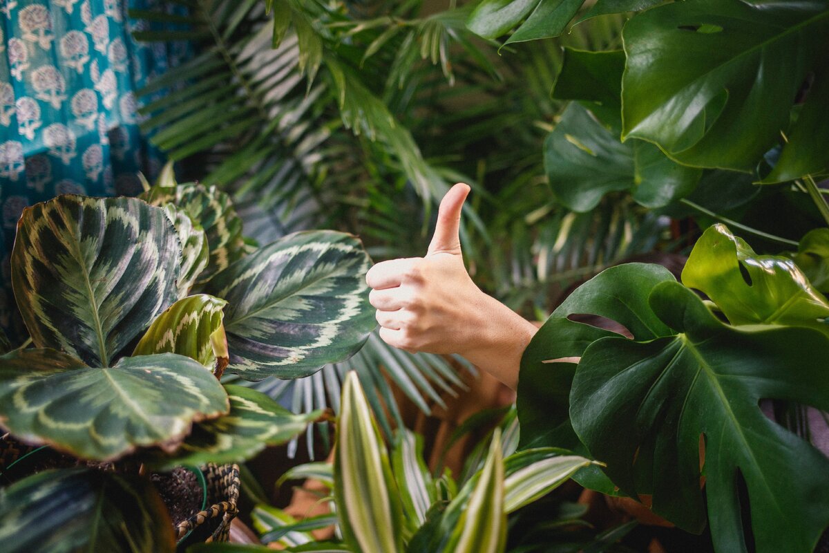 Источник: https://unsplash.com/
