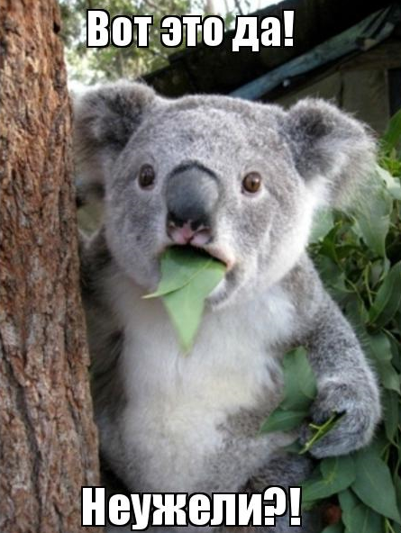 Автор фото: Google картинки