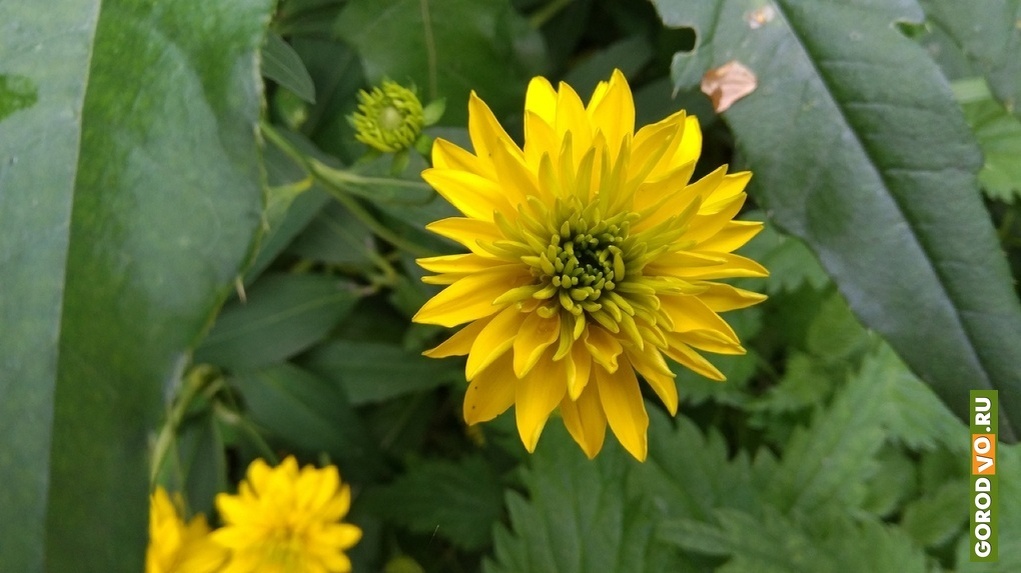  
Воздух днем будет прогреваться до + 20 градусов.