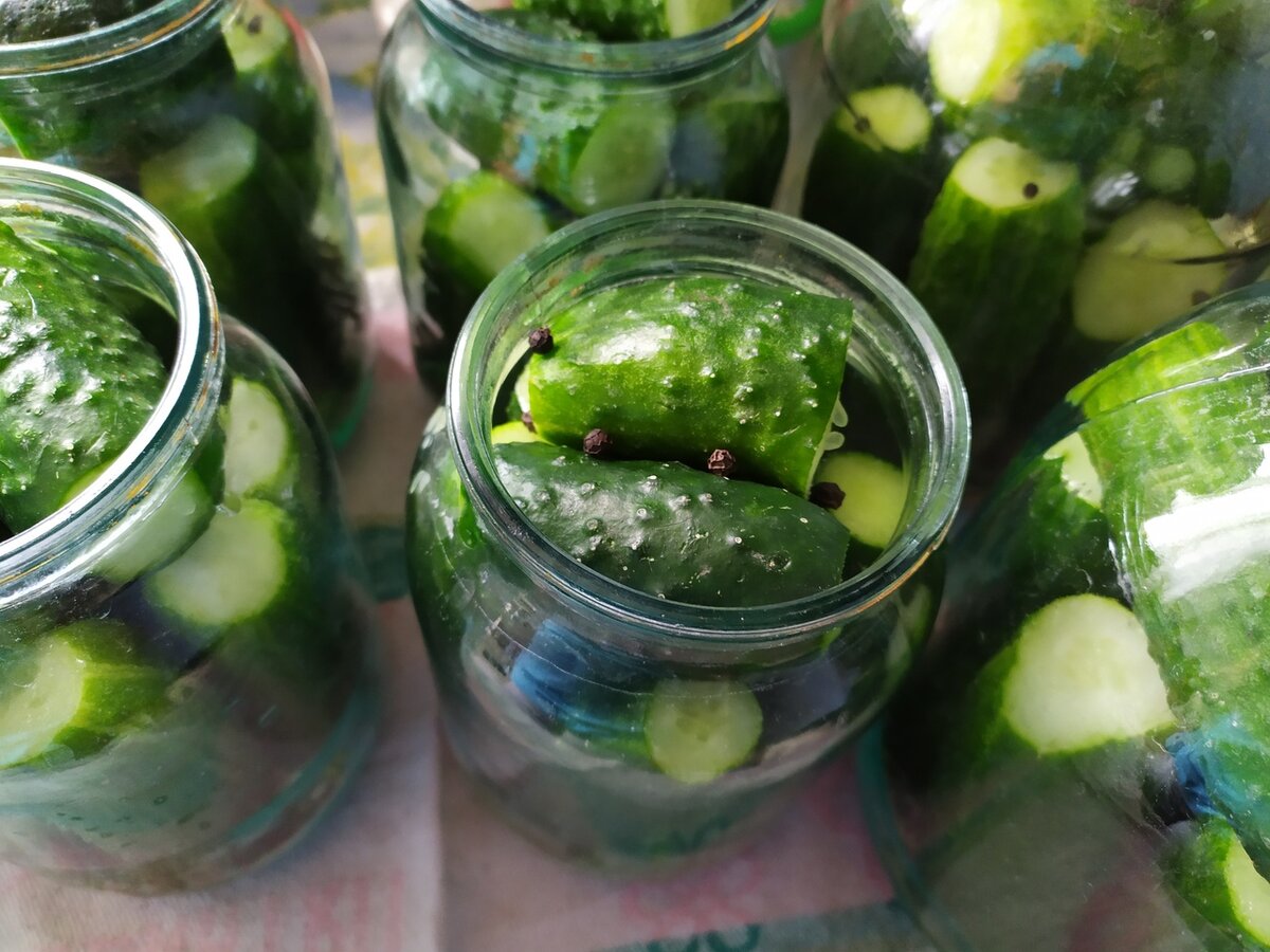 домашние огурчики вкуснее и дешевле магазинных