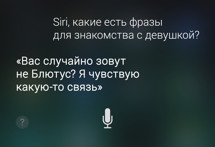 © romakavabanga / Pikabu  