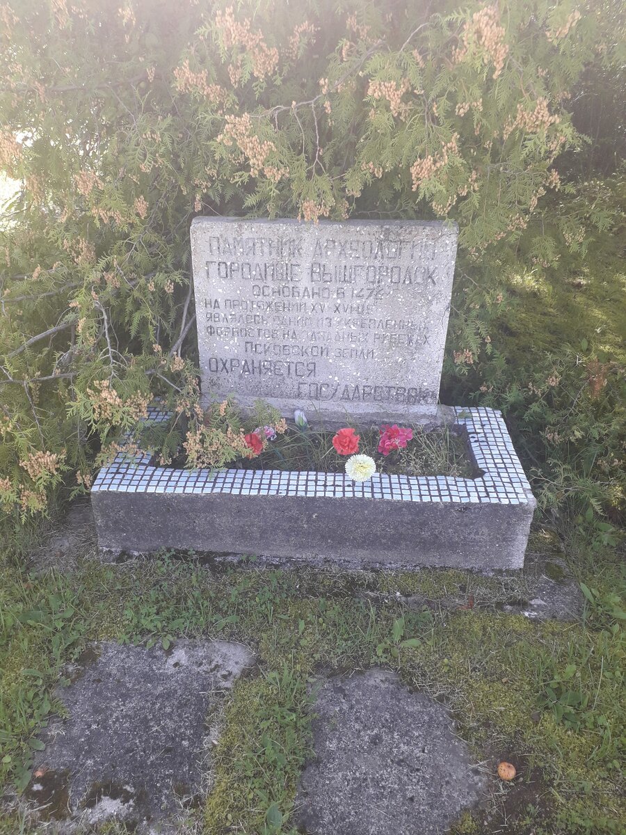 Памятник городищу Вышгородок