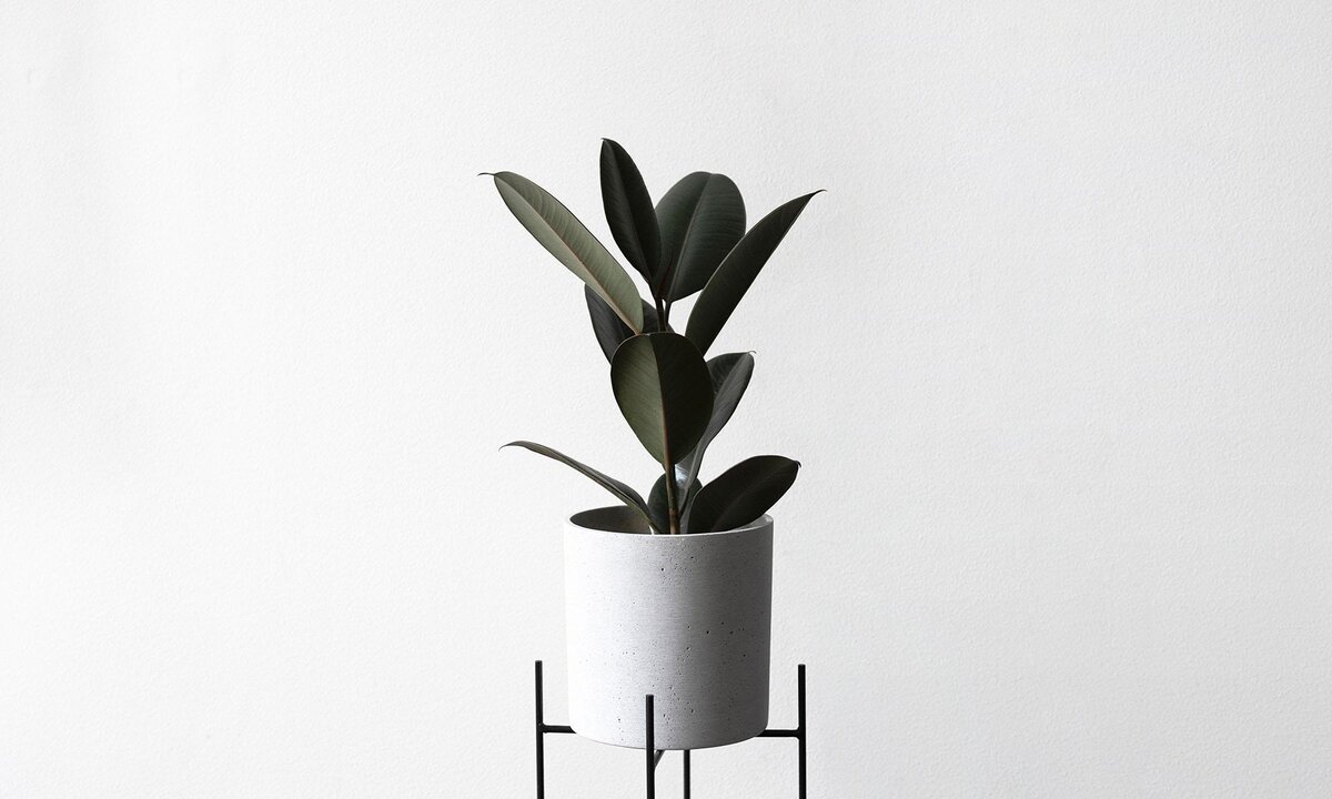 фото Jon Flobrant