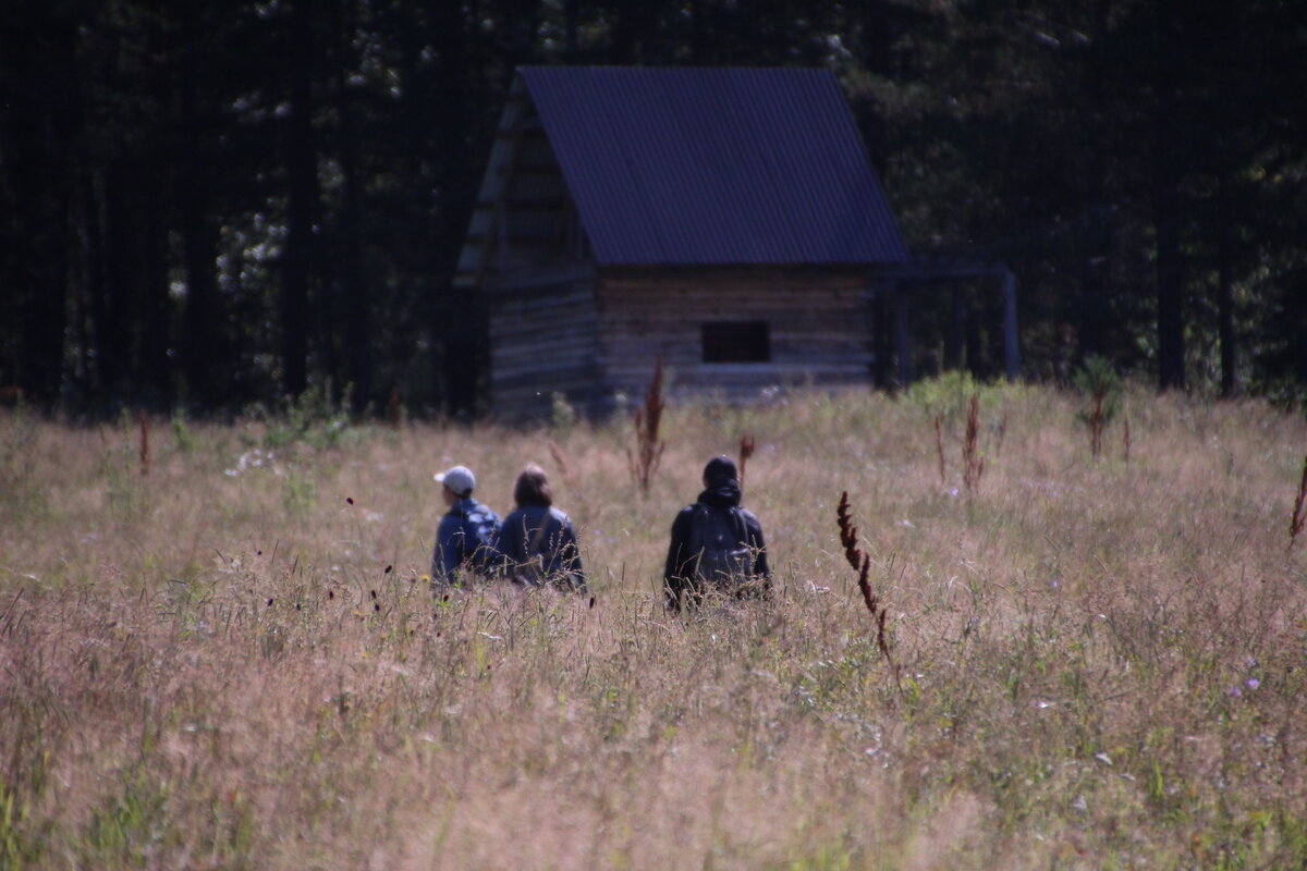 Строится домик.