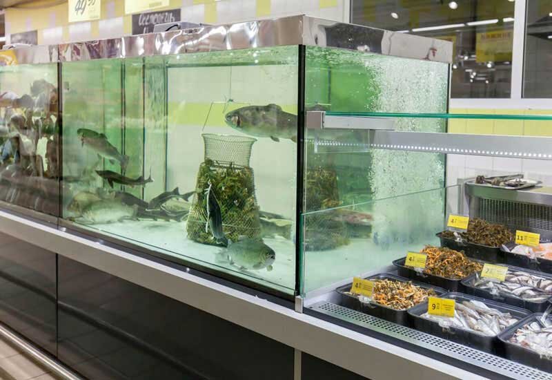 Источник:https://laguna-akul.ru/upload/000/u1/a/2/121march.jpg