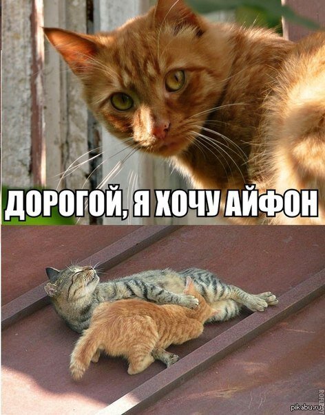 мемы про айфоны разных годов, листайте) с простров интернета