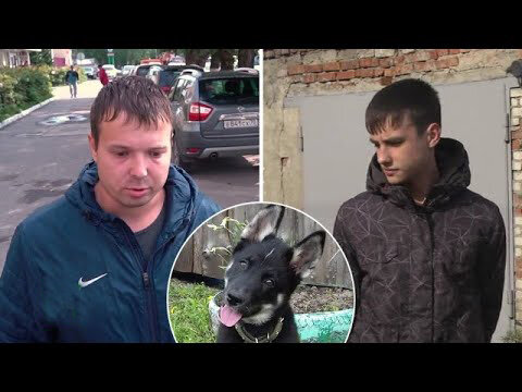На фото Данил Сафронов и виновник проишествия. Фото из свободных источников