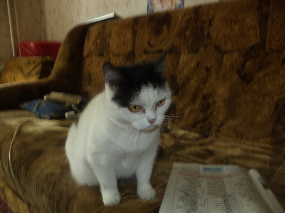 "А день? Какой был день тогда?! Ах, да! Среда!!!"