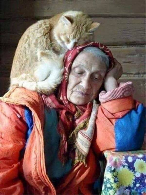 фото взято из открытых источников