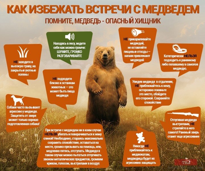 Фото взято из интернета