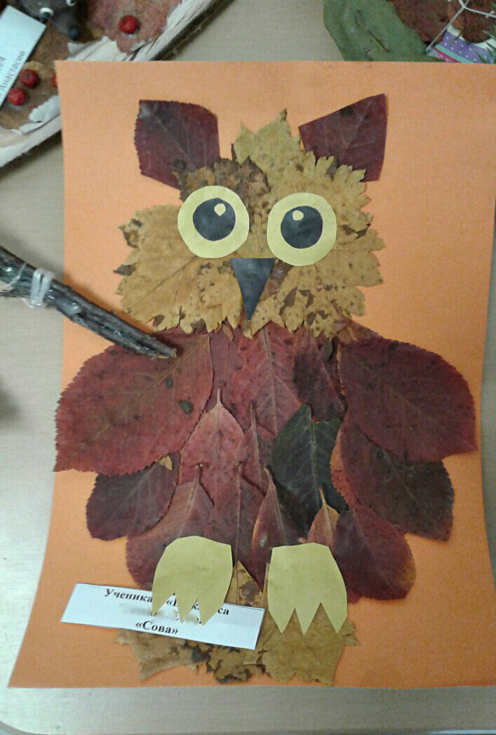 Поделка сова своими руками из бумаги, листьев, картона и другого природнего материала