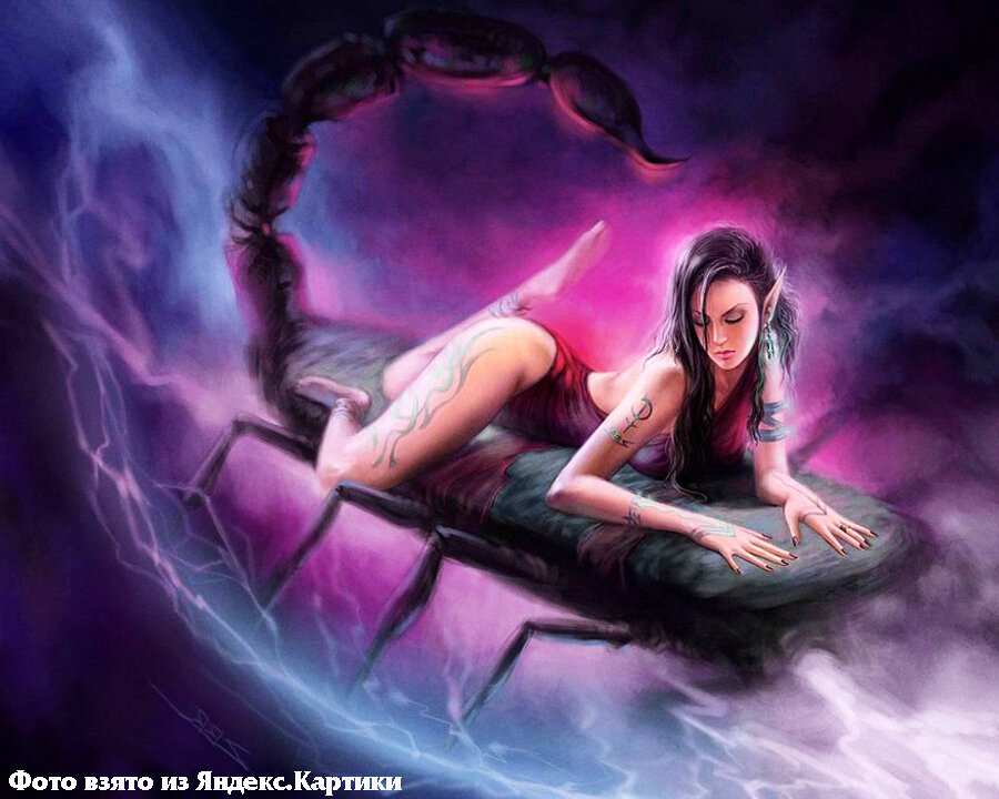 Знак зодиака, Скорпион, гороскоп, гороскоп на завтра, терпение, выводы, спешка