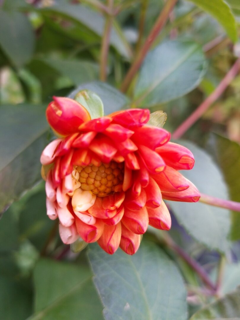                                                                                                  Фото автора статьи