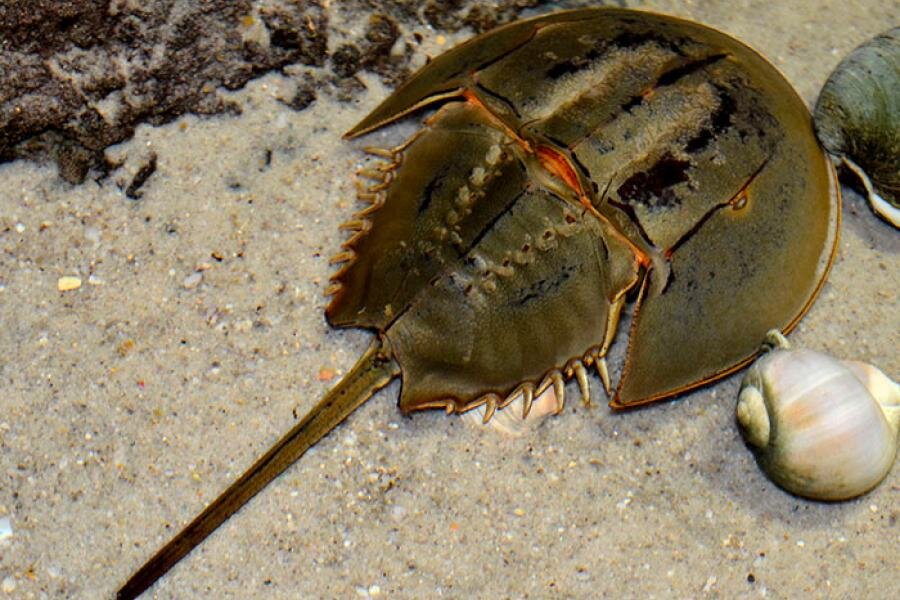 Картинка взята с Яндекс.Картинки