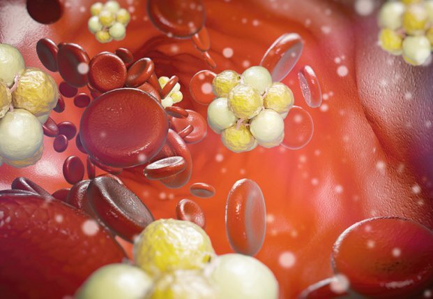 Фото взято из Яндекс картинок