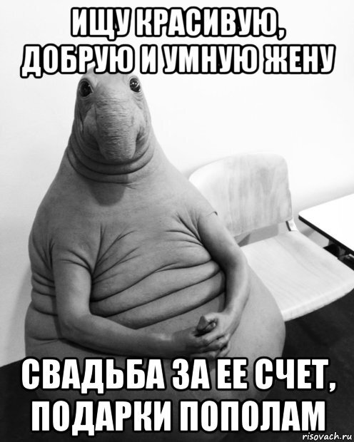 Спасибо Яндекс.Картинкам