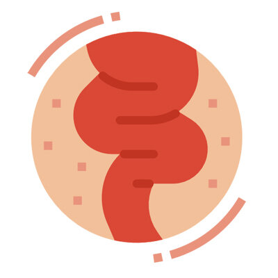 https://www.flaticon.com/free-icon/intestine_971619