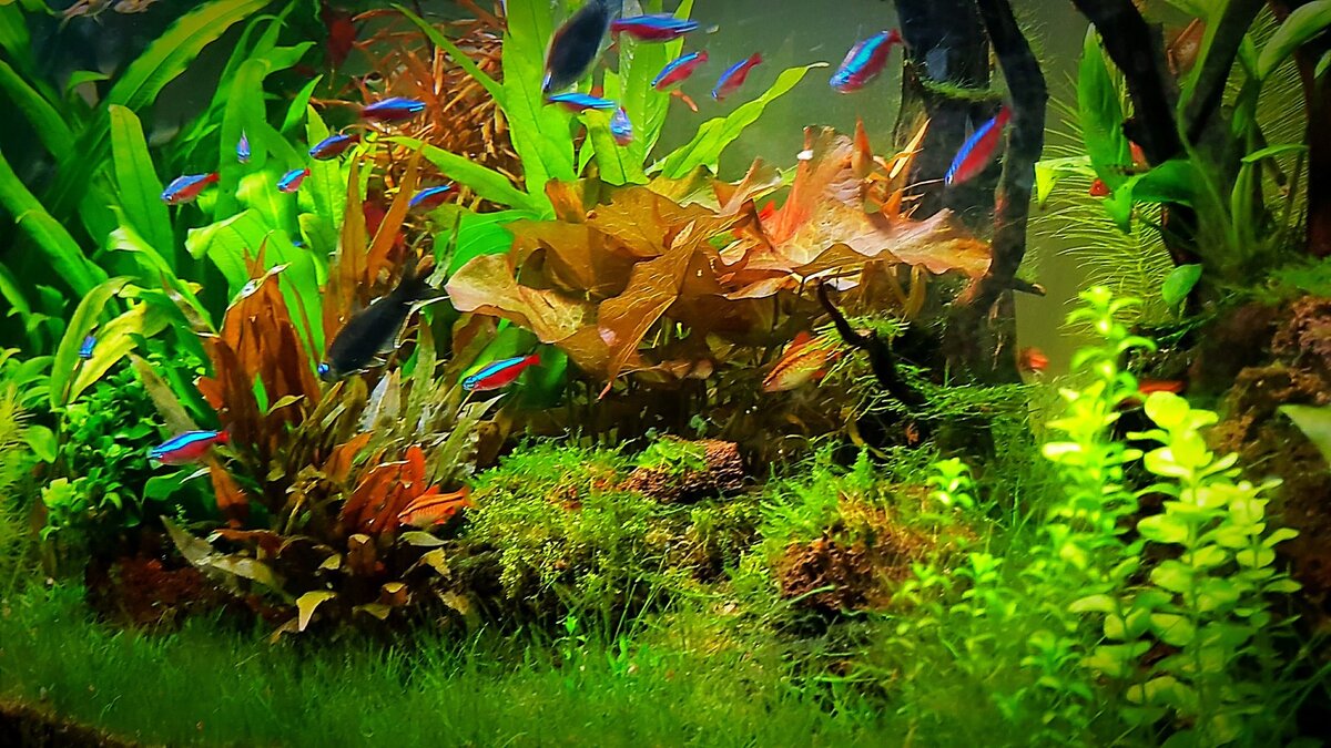 Третий год со дня запуска