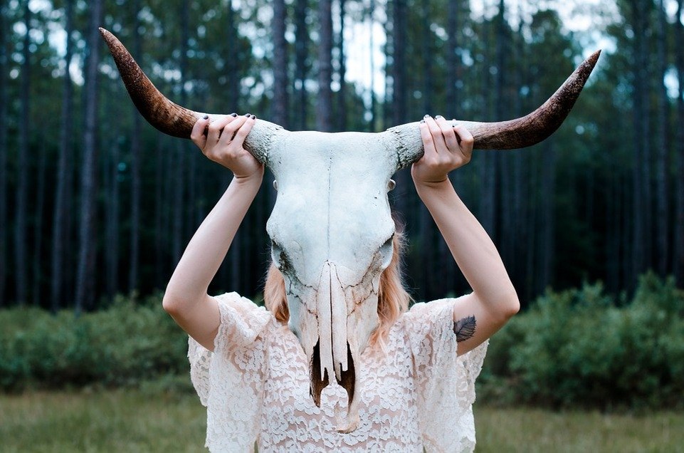   https://pixabay.com/photos/skull-horns-animal-head-woman-690246/ 