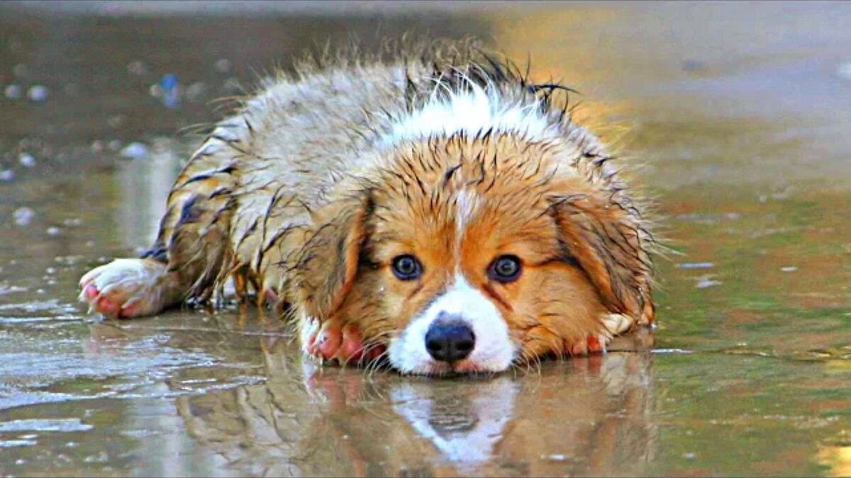 Больше фотографий в конце статьи 