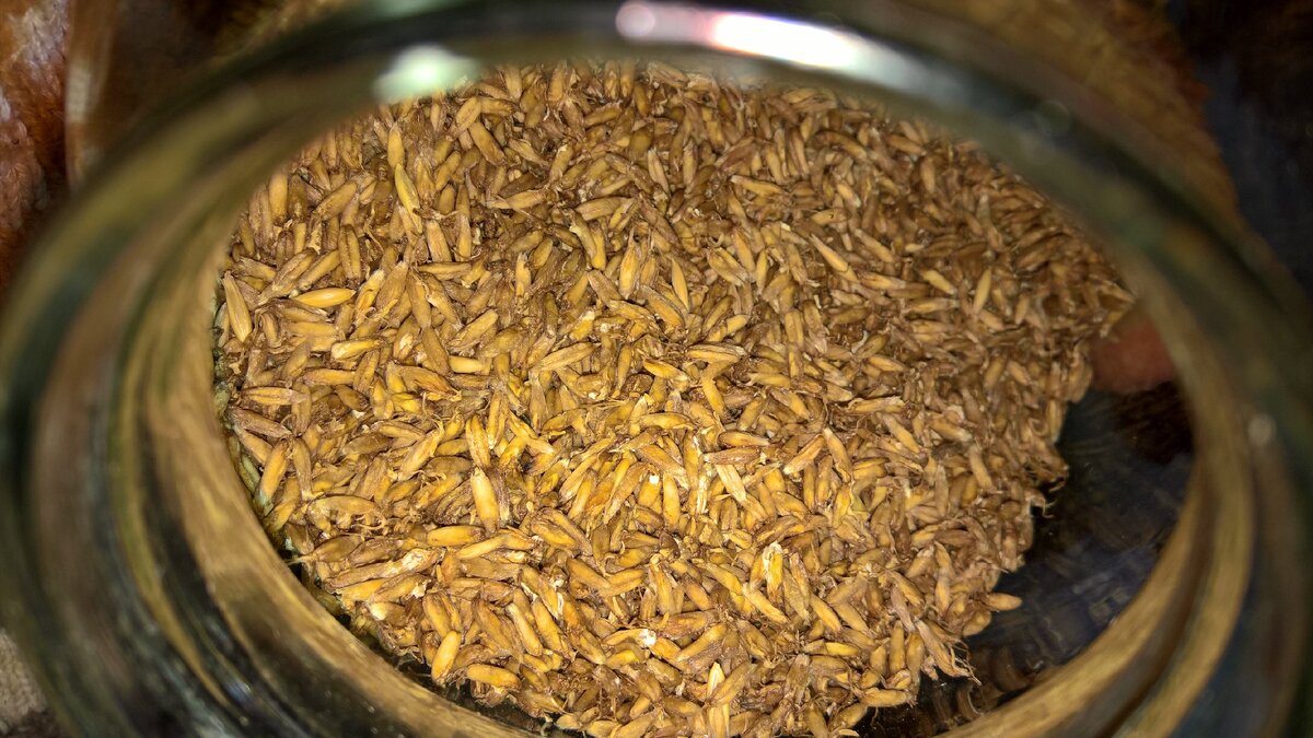 Цельнозерновой овес очень полезен при панкреатите, но в стадии ремиссии