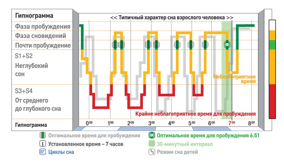 Быстрая фаза сна