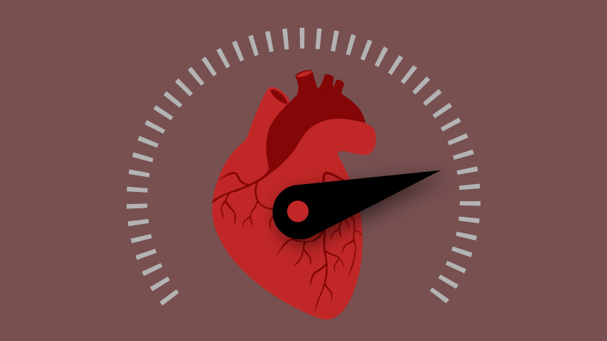 Часто чувство сердцебиения сопровождает тахикардию или аритмии