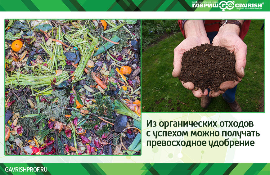 Компост – приятное место для червей 