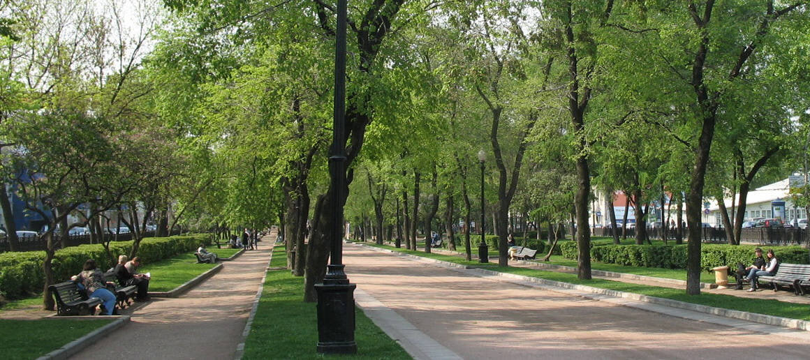 Бульвары москвы список. Парк Гоголевский бульвар в Москве. Тверской бульвар Бульварное кольцо. Гоголевский бульвар дуб. Гоголевский бульвар летом.